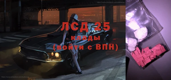 spice Аркадак