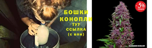 spice Аркадак