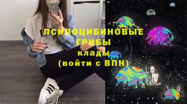 apvp Арсеньев