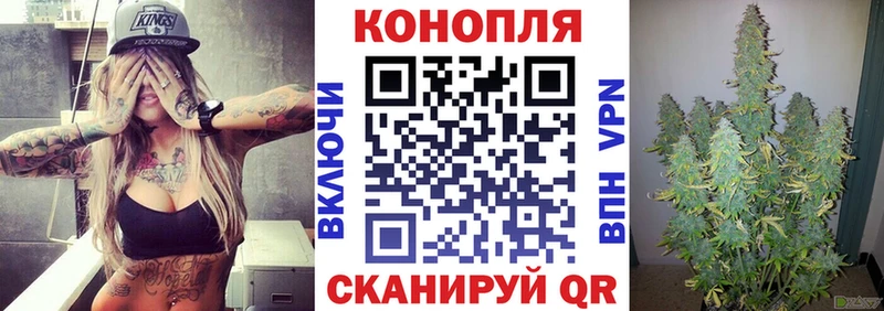 OMG сайт Кирово-Чепецк Каннабис планчик